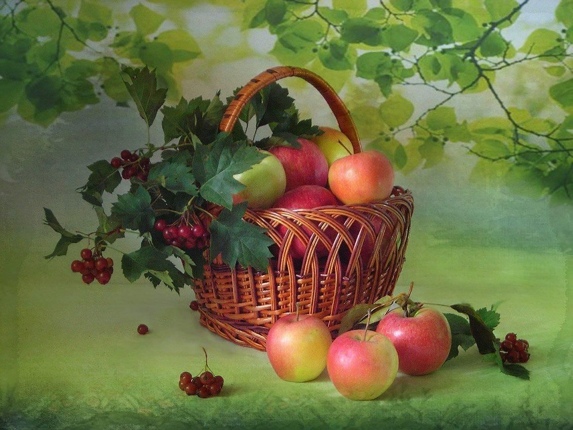 Яблоки яблочный спас. Яблочный спас. Натюрморт с яблоками. Натюрморт корзина с яблоками в саду. Корзины с яблоками.